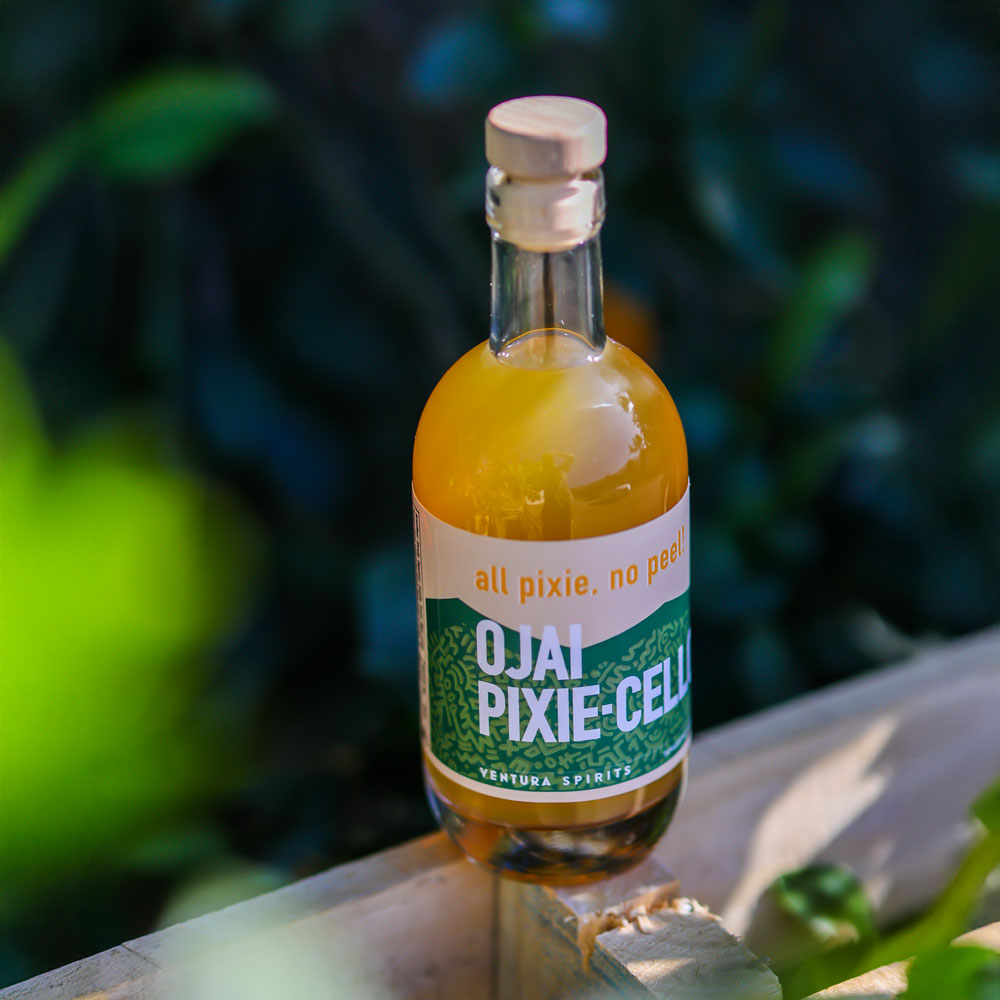 Ojai Pixie-cello