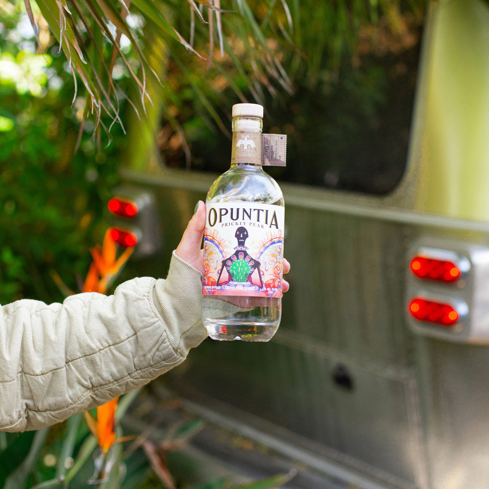 prickly pear cactus vodka Opuntia Prickly Pear Brandy – Ventura Spirits